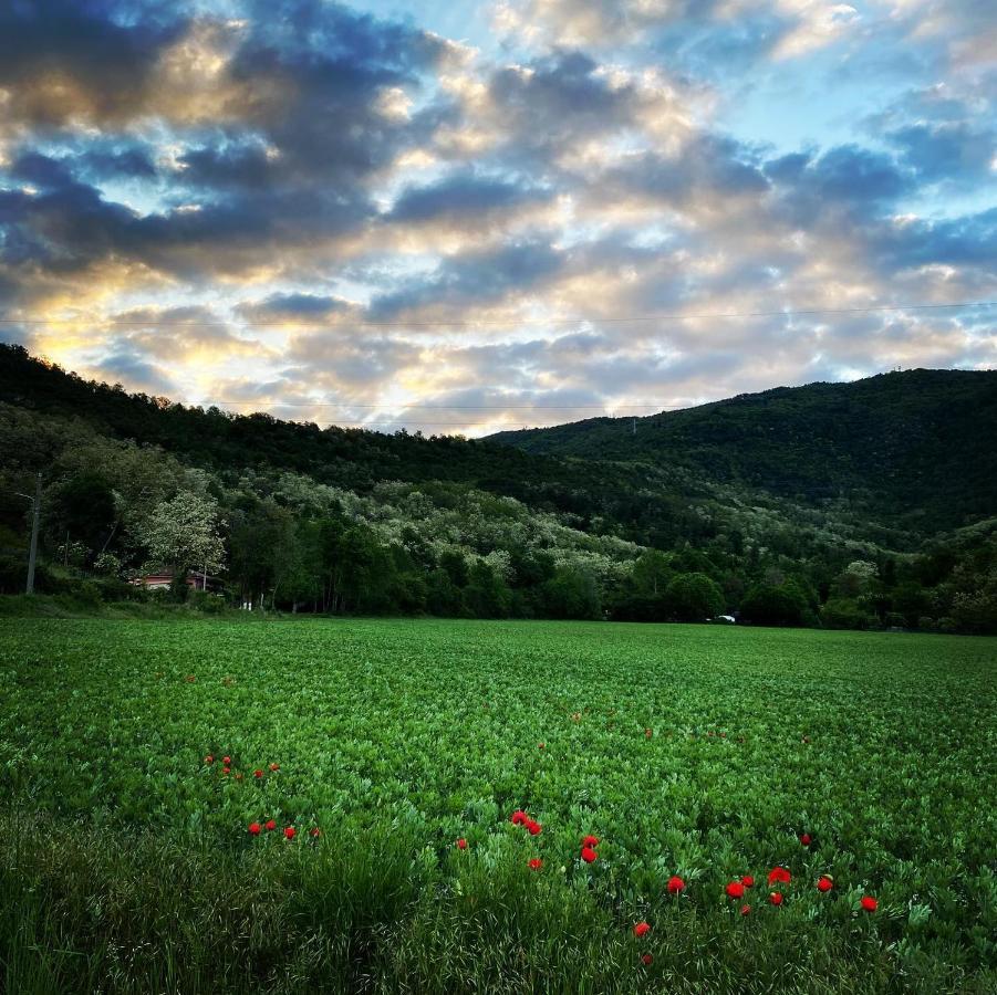 La Valle B&B Брешія Екстер'єр фото